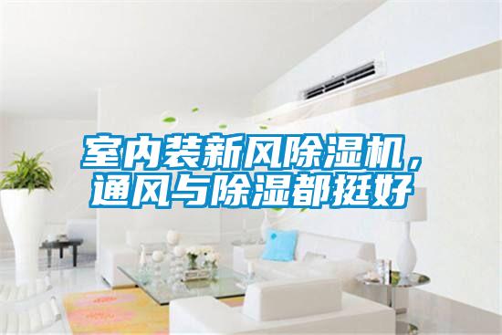 室內(nèi)裝新風除濕機，通風與除濕都挺好