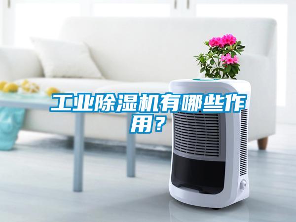 工業(yè)除濕機(jī)有哪些作用？