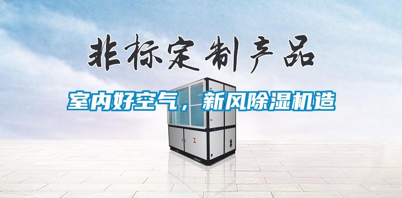 室內(nèi)好空氣，新風除濕機造