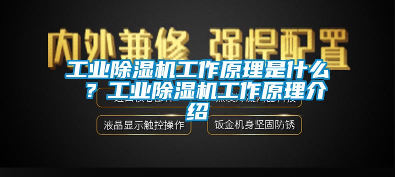 工業(yè)除濕機(jī)工作原理是什么 ？工業(yè)除濕機(jī)工作原理介紹