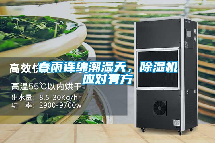 春雨連綿潮濕天，除濕機(jī)應(yīng)對(duì)有方