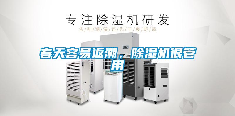 春天容易返潮，除濕機很管用