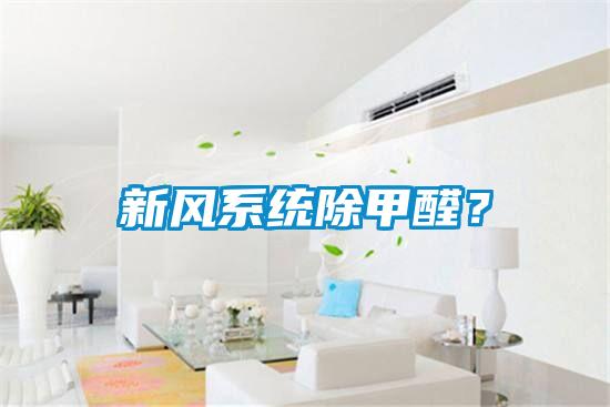 新風(fēng)系統(tǒng)除甲醛？