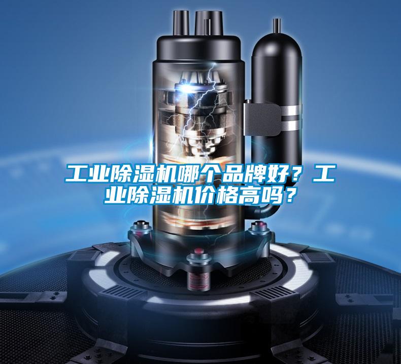 工業(yè)除濕機(jī)哪個(gè)品牌好？工業(yè)除濕機(jī)價(jià)格高嗎？