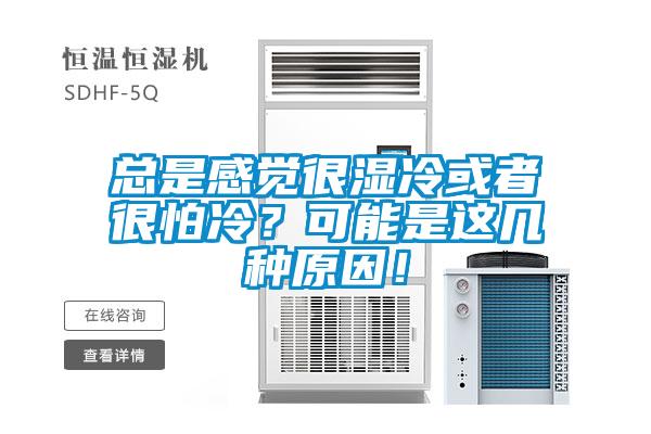 總是感覺很濕冷或者很怕冷？可能是這幾種原因！