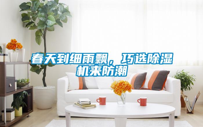 春天到細(xì)雨飄，巧選除濕機(jī)來(lái)防潮