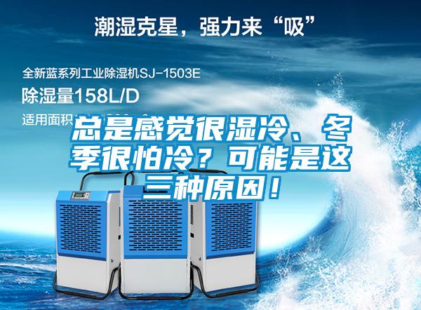 總是感覺很濕冷、冬季很怕冷？可能是這三種原因！