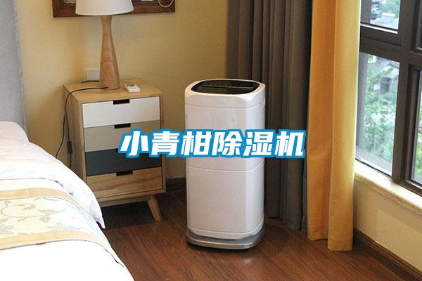 小青柑除濕機(jī)