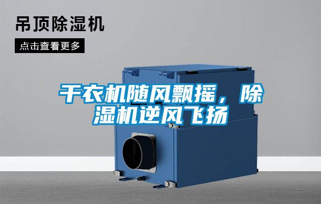 干衣機隨風(fēng)飄搖，除濕機逆風(fēng)飛揚