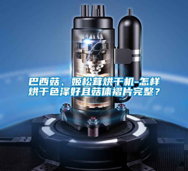 巴西菇、姬松茸烘干機-怎樣烘干色澤好且菇體褶片完整？