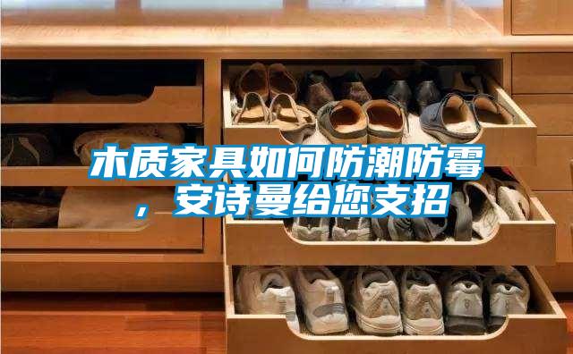 木質(zhì)家具如何防潮防霉，安詩(shī)曼給您支招