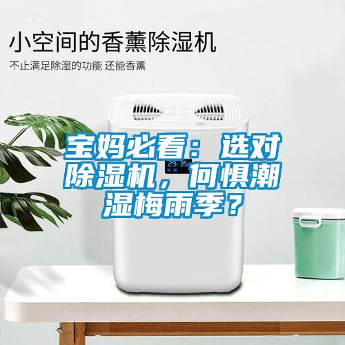 寶媽必看：選對除濕機，何懼潮濕梅雨季？