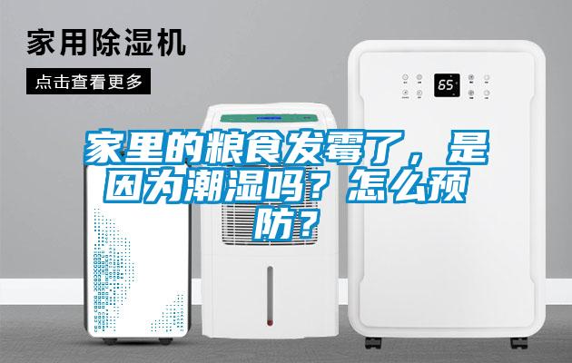家里的糧食發(fā)霉了，是因?yàn)槌睗駟?？怎么預(yù)防？