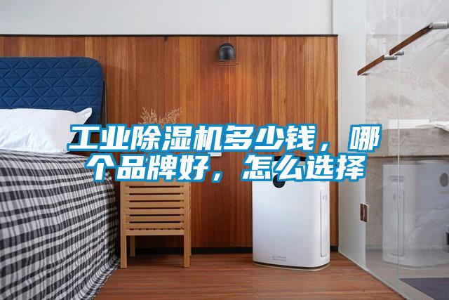 工業(yè)除濕機(jī)多少錢，哪個品牌好，怎么選擇