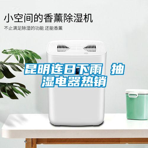 昆明連日下雨 抽濕電器熱銷