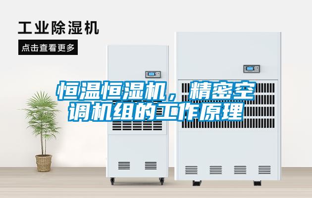 恒溫恒濕機(jī)，精密空調(diào)機(jī)組的工作原理