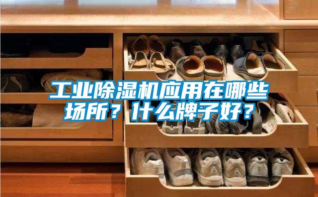 工業(yè)除濕機應用在哪些場所？什么牌子好？