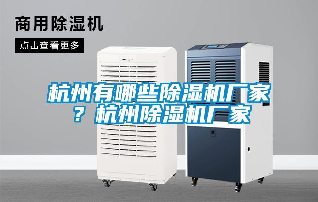 杭州有哪些除濕機廠家？杭州除濕機廠家