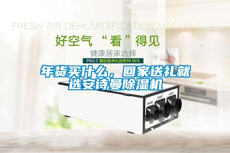年貨買什么，回家送禮就選安詩(shī)曼除濕機(jī)