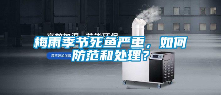 梅雨季節(jié)死魚嚴重，如何防范和處理？