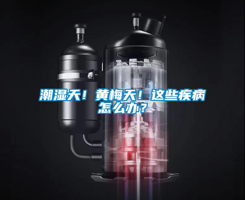 潮濕天！黃梅天！這些疾病怎么辦？