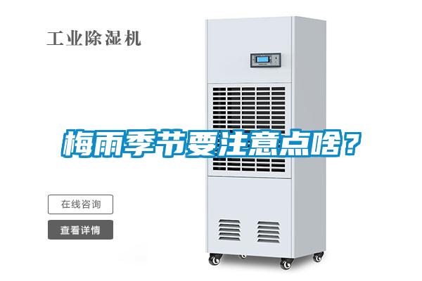 梅雨季節(jié)要注意點(diǎn)啥？