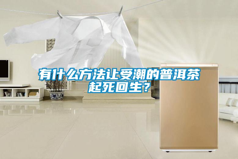 有什么方法讓受潮的普洱茶起死回生？