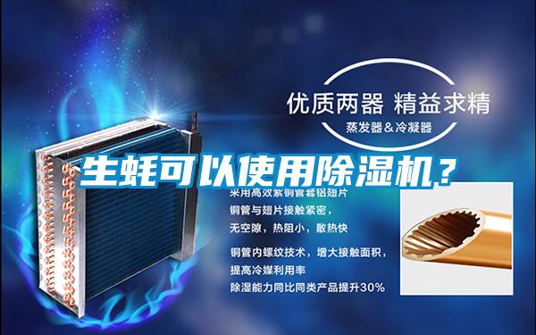 生蠔可以使用除濕機(jī)？
