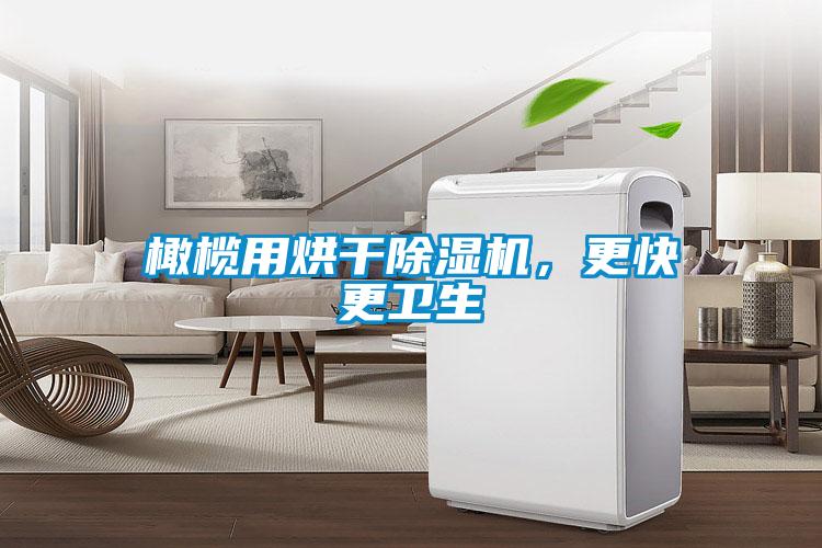 橄欖用烘干除濕機，更快更衛(wèi)生