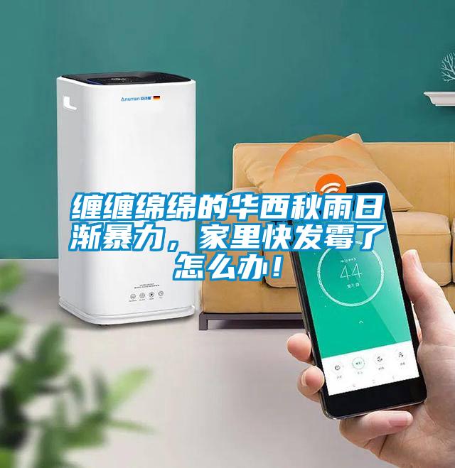 纏纏綿綿的華西秋雨日漸暴力，家里快發(fā)霉了怎么辦！