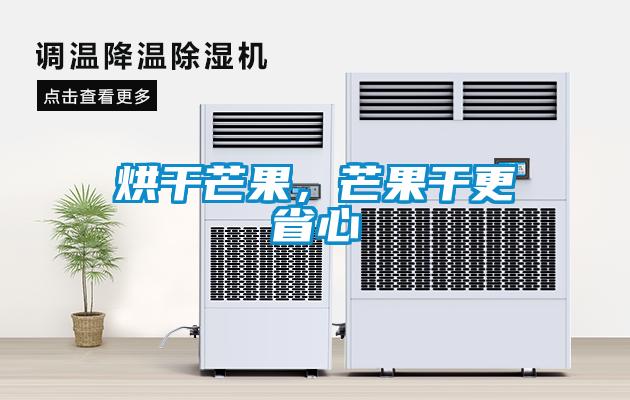 烘干芒果，芒果干更省心