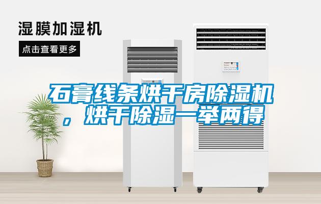 石膏線條烘干房除濕機(jī)，烘干除濕一舉兩得