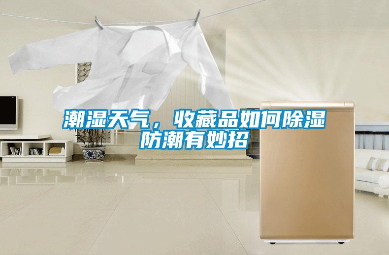 潮濕天氣，收藏品如何除濕防潮有妙招