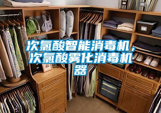 次氯酸智能消毒機(jī)，次氯酸霧化消毒機(jī)器