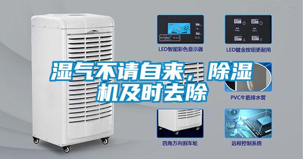 濕氣不請自來，除濕機(jī)及時(shí)去除