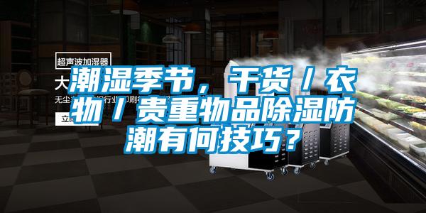 潮濕季節(jié)，干貨／衣物／貴重物品除濕防潮有何技巧？