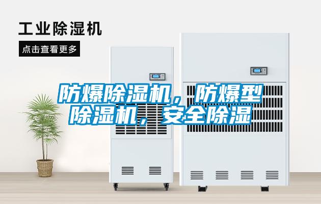 防爆除濕機，防爆型除濕機，安全除濕