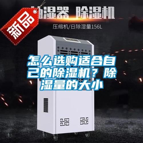 怎么選購適合自己的除濕機(jī)？除濕量的大小