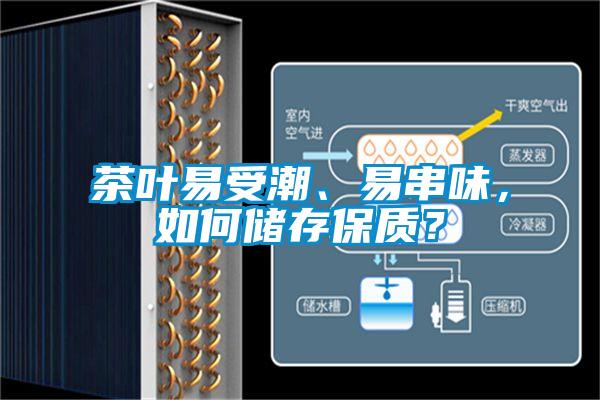 茶葉易受潮、易串味，如何儲存保質(zhì)？