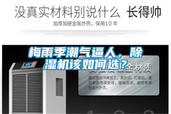 梅雨季潮氣逼人，除濕機(jī)該如何選？
