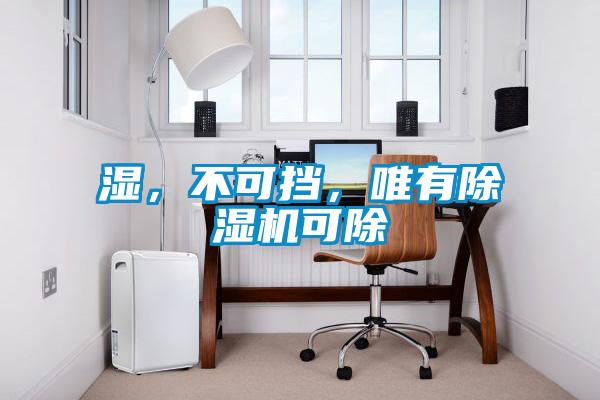 濕，不可擋，唯有除濕機可除