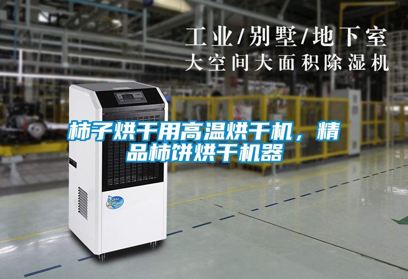 柿子烘干用高溫烘干機，精品柿餅烘干機器
