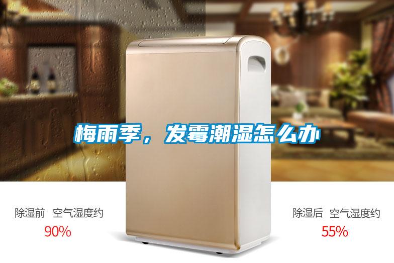梅雨季，發(fā)霉潮濕怎么辦