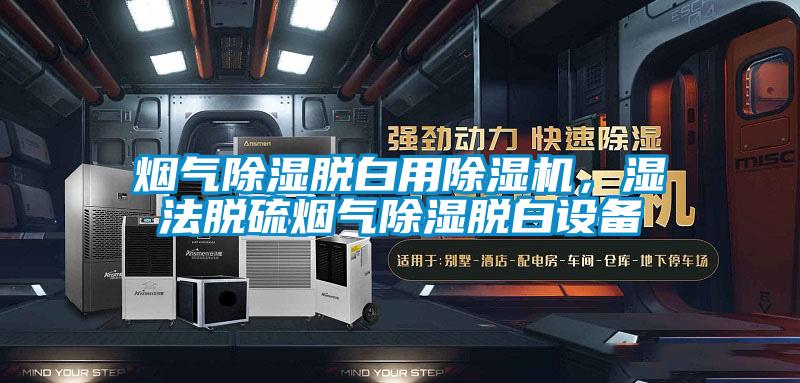 煙氣除濕脫白用除濕機(jī)，濕法脫硫煙氣除濕脫白設(shè)備