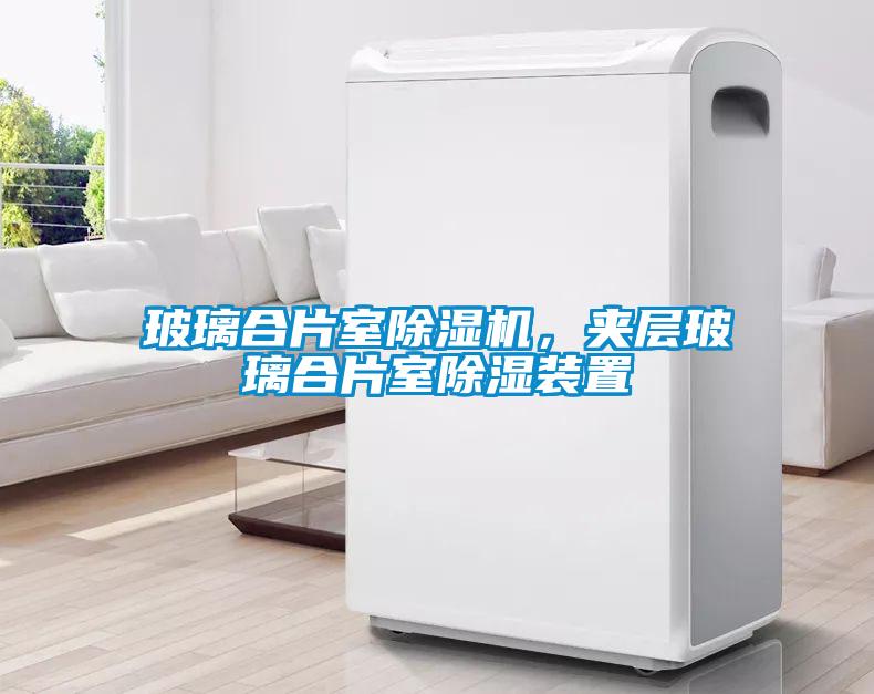 玻璃合片室除濕機(jī)，夾層玻璃合片室除濕裝置