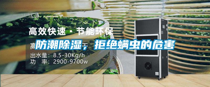 防潮除濕，拒絕螨蟲的危害