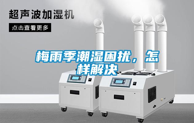 梅雨季潮濕困擾，怎樣解決