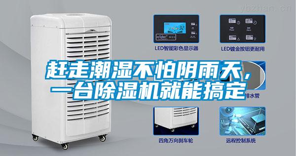 趕走潮濕不怕陰雨天，一臺除濕機就能搞定