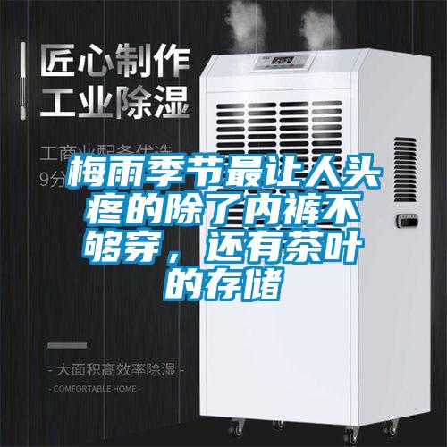 梅雨季節(jié)最讓人頭疼的除了內(nèi)褲不夠穿，還有茶葉的存儲(chǔ)