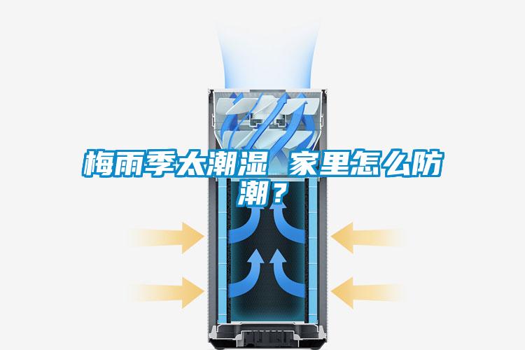 梅雨季太潮濕 家里怎么防潮？